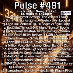 Pulse 491 - Instructor..